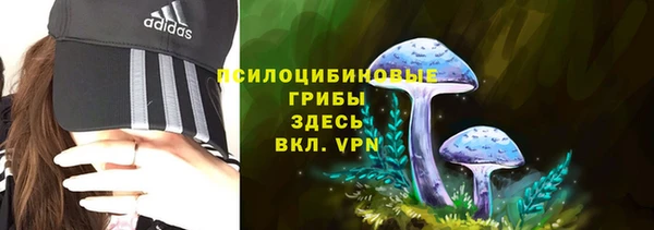 mdpv Беломорск