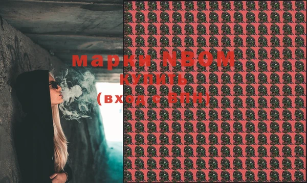круглые Белокуриха