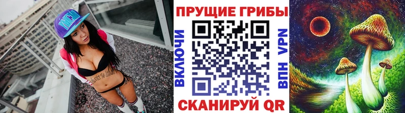 Галлюциногенные грибы мицелий купить Бирюсинск